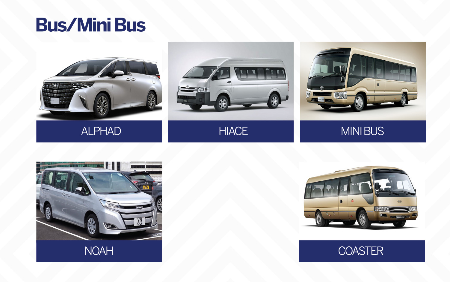 Bus and minibus category: Alphard, Hiace, minibus, Noah, Coaster